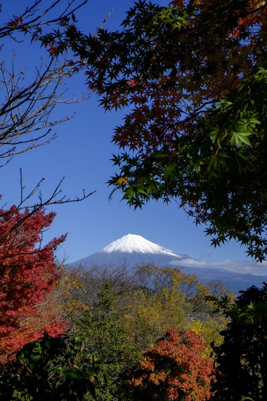 富士山画像作品