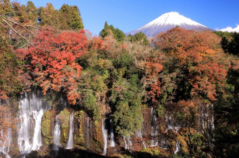 富士山画像記録