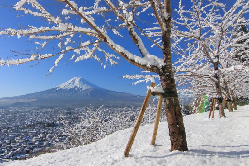 富士山画像記録