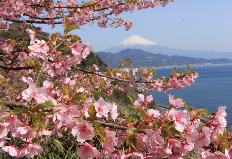 富士山画像記録