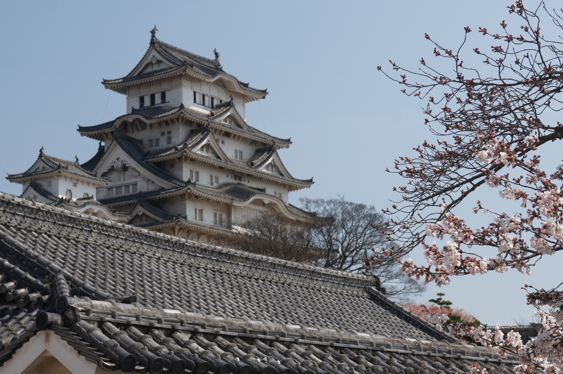 日本の世界遺産