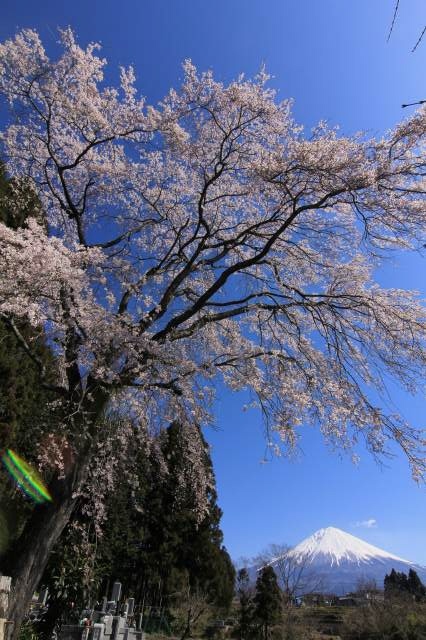 富士山画像記録