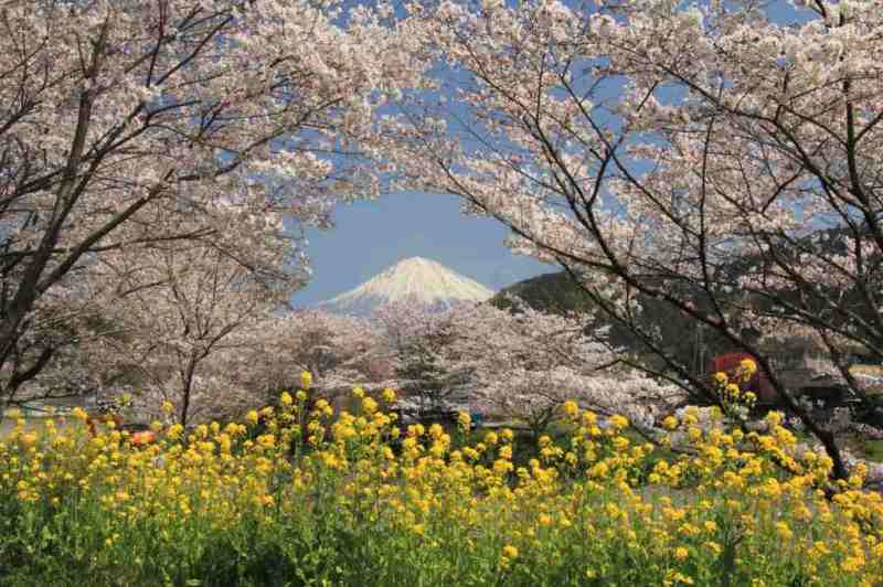 富士山画像記録