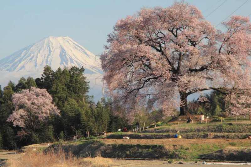 富士山画像記録