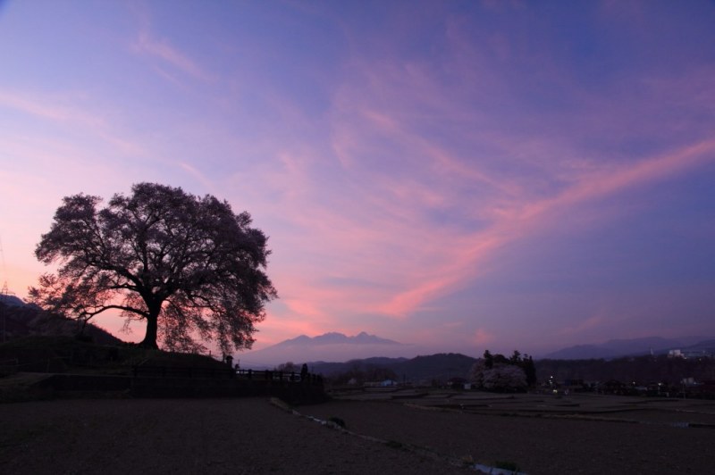 富士山画像記録