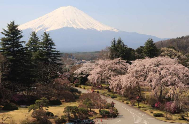 富士山画像記録