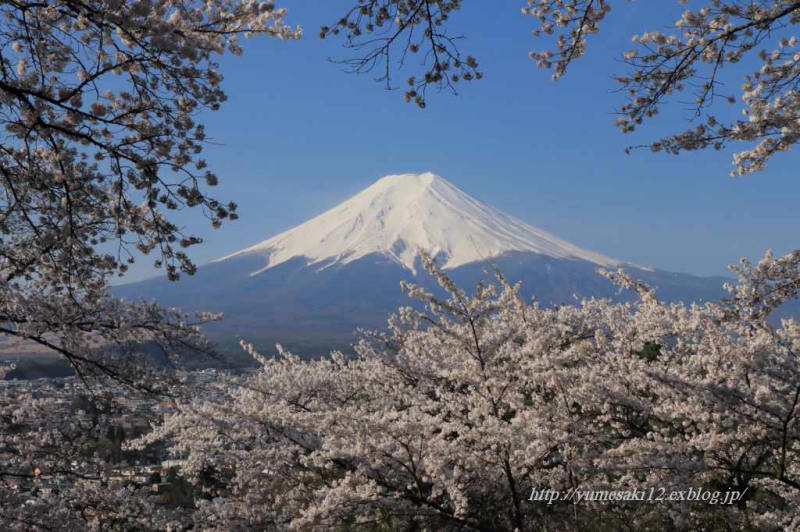 富士山画像記録