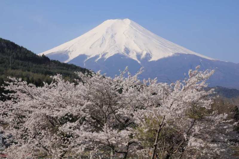 富士山画像記録