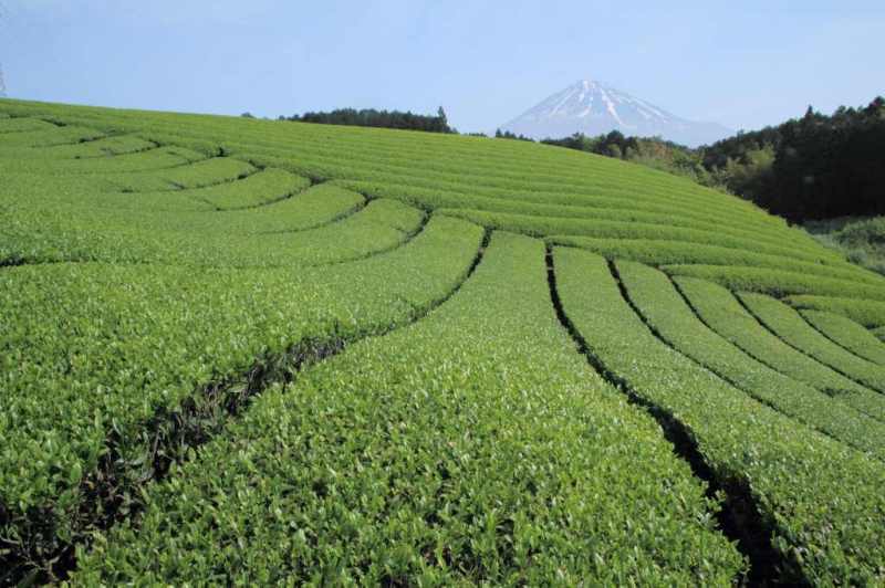 富士山画像記録