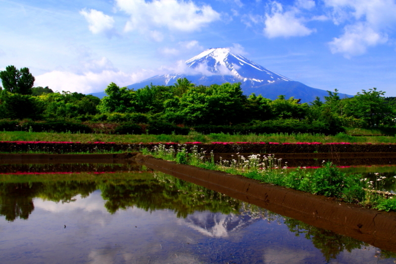 富士山画像記録