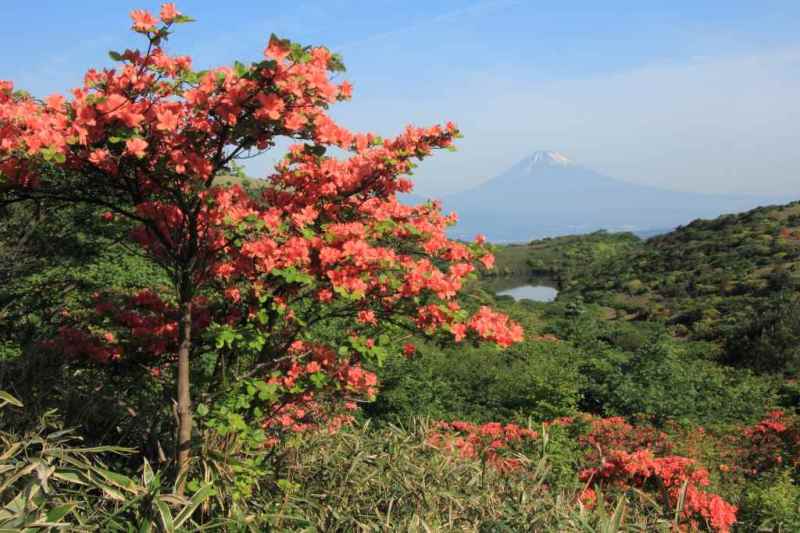 富士山画像記録