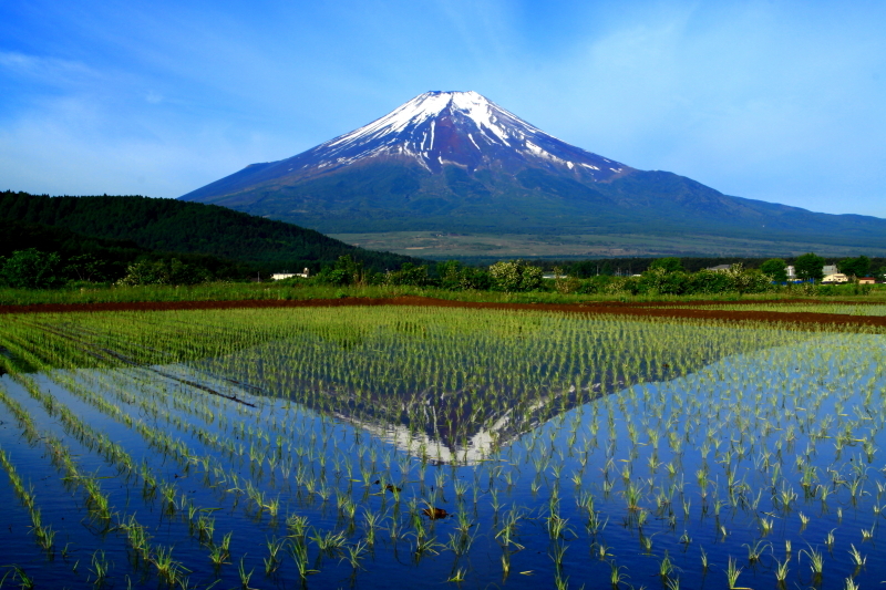 富士山画像記録