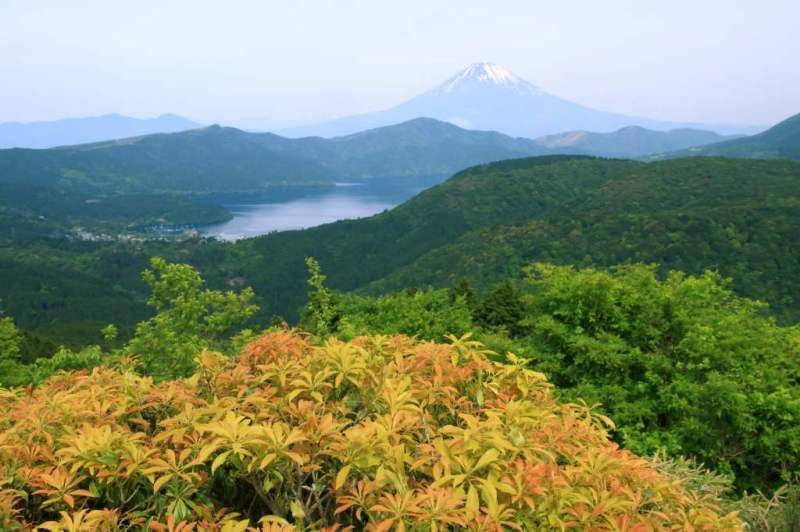 富士山画像記録