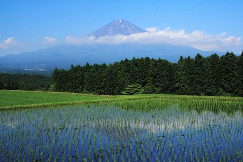 富士山画像記録