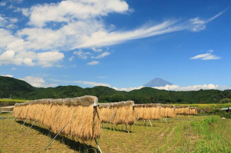 富士山画像記録