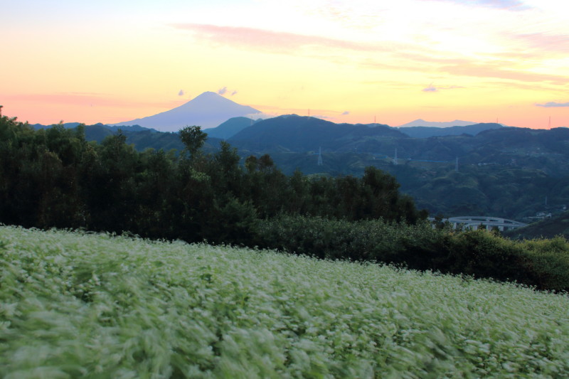 富士山画像記録