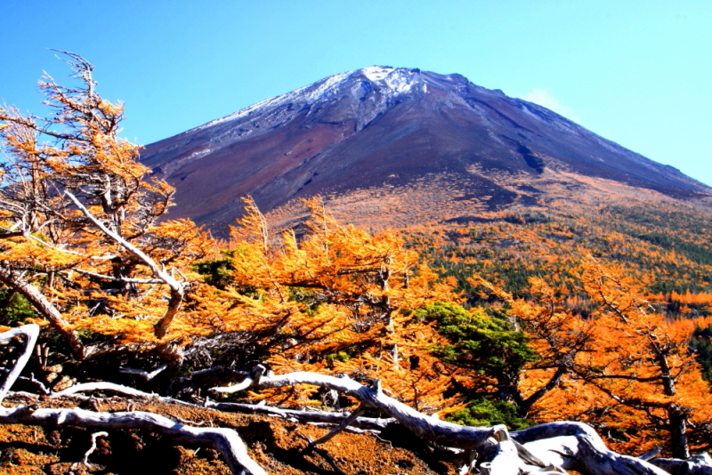 富士山画像記録