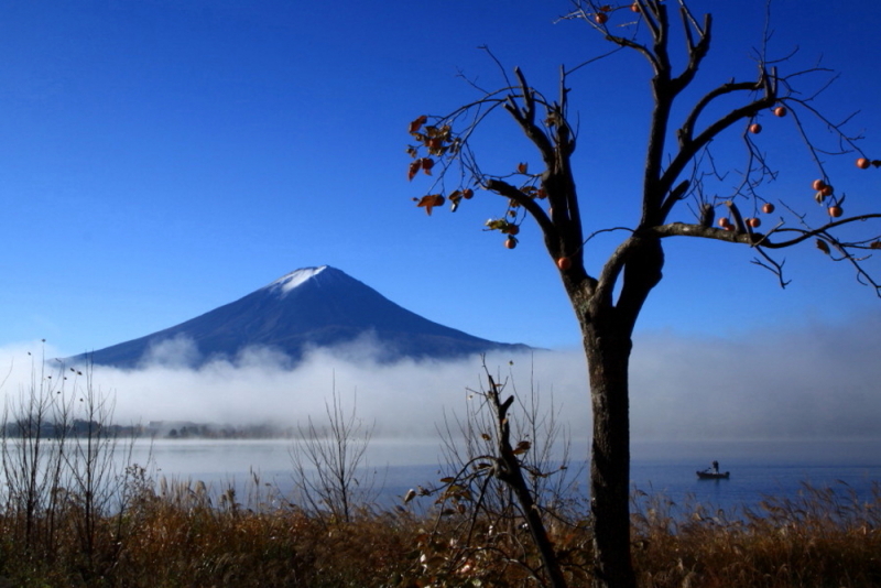 富士山画像作品