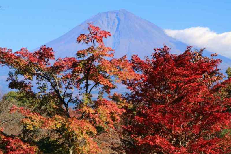 富士山画像記録