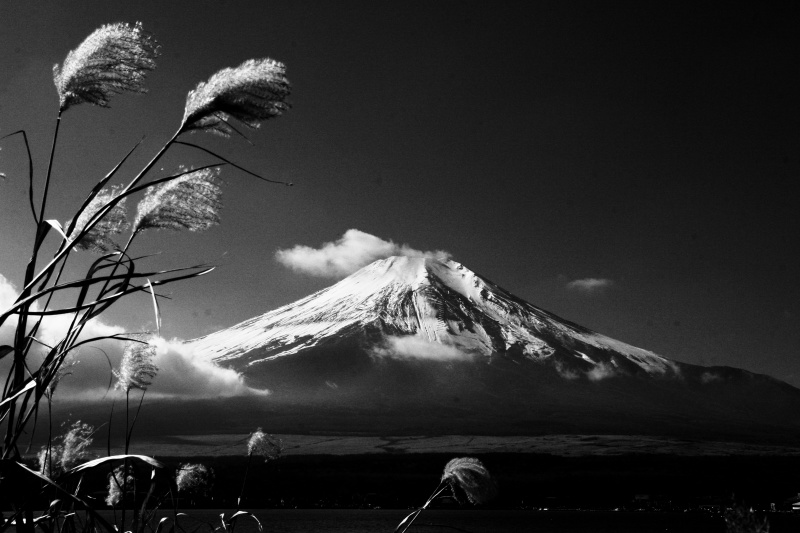 富士山画像作品
