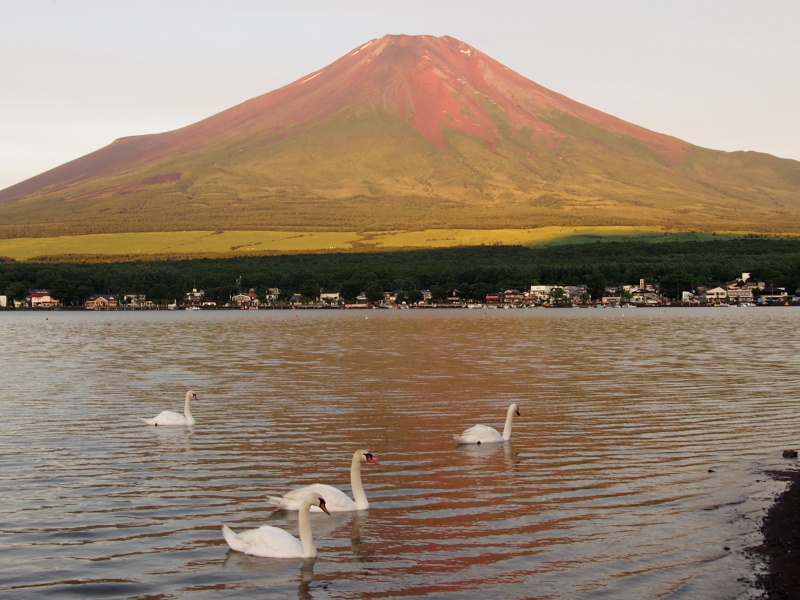 富士山周辺風景