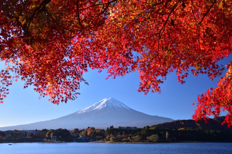 富士山画像作品