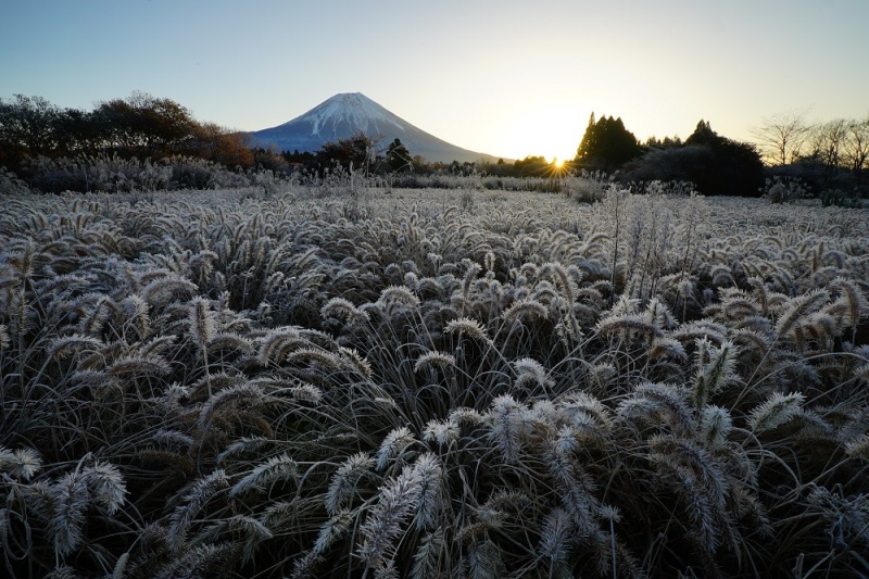 富士山画像作品