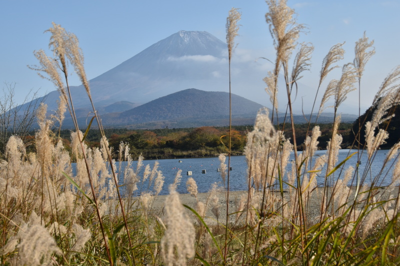 富士山画像作品