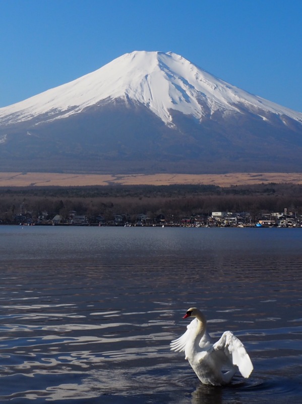 富士山画像作品