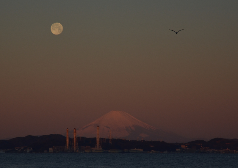 富士山画像作品