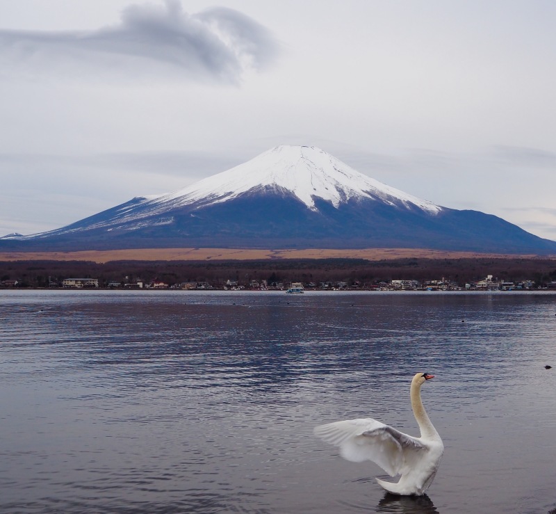 富士山画像作品