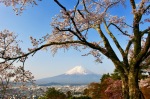 富士山画像作品