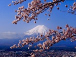 富士山画像作品