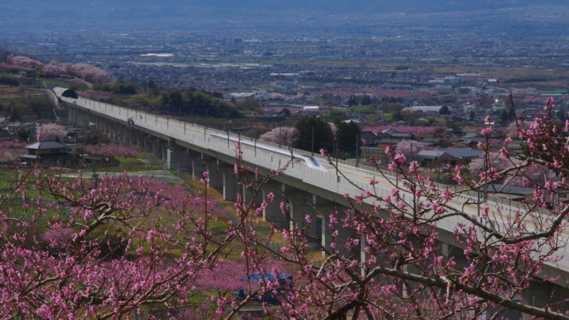 富士山画像記録