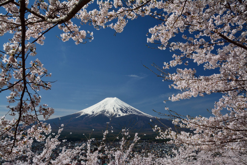 富士山画像作品