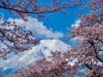 富士山画像作品