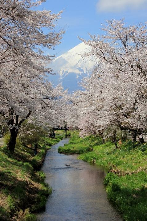 富士山画像作品