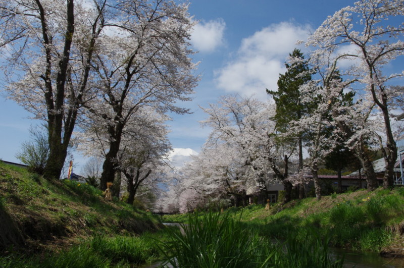 富士山画像記録