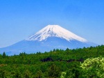 富士山画像作品