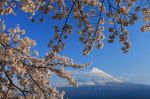富士山画像作品