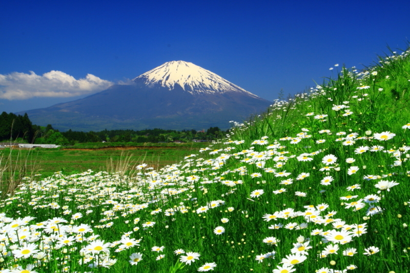 富士山画像記録