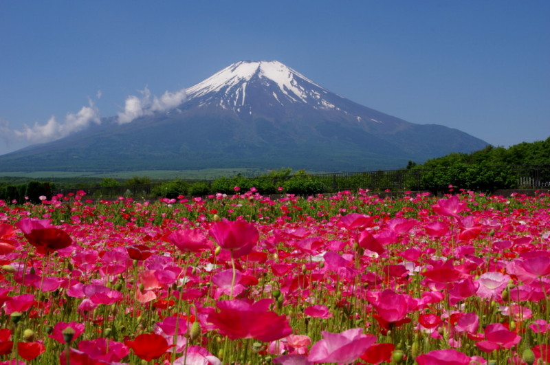 富士山画像記録
