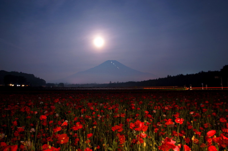 富士山画像記録