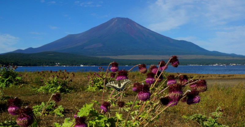 富士山画像記録