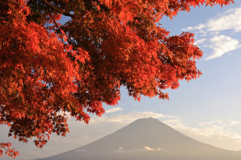 富士山画像作品