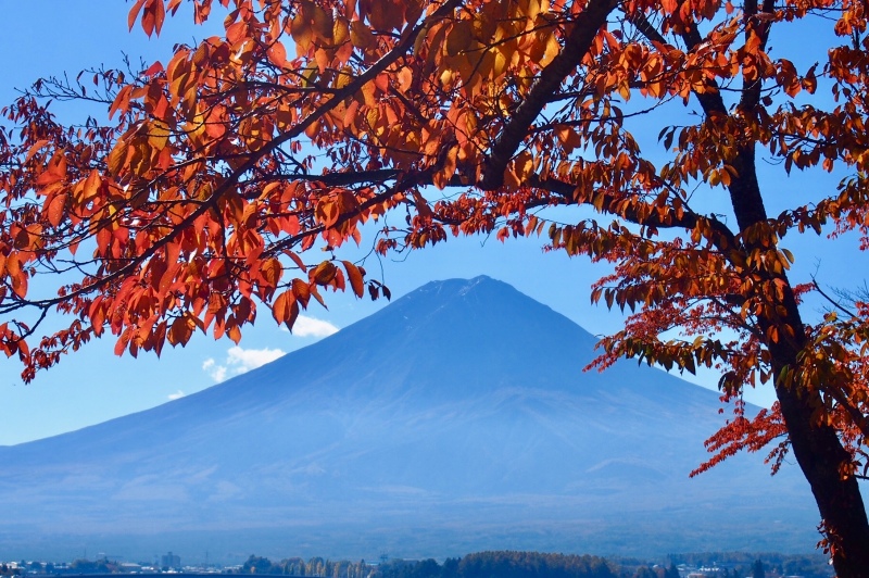 富士山画像作品