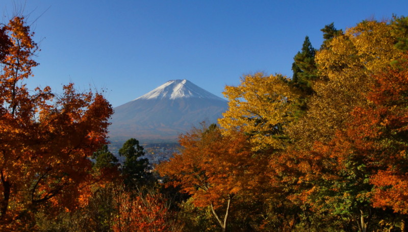 富士山画像記録
