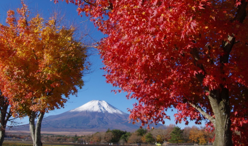 富士山画像記録