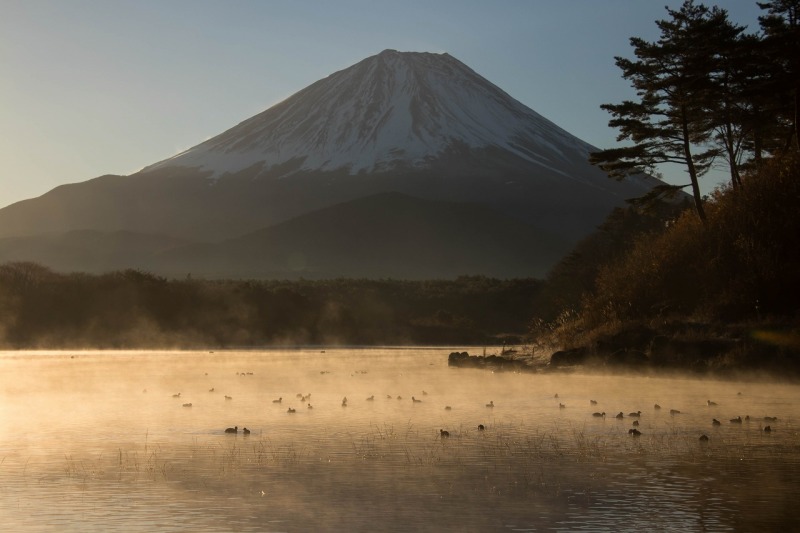 富士山画像作品