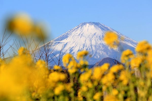 富士山画像記録